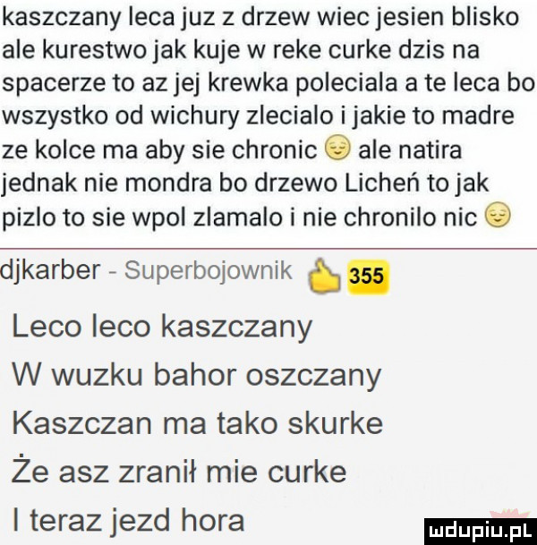 kaszczany leca juz z drzew wiec jesien blisko ale kurestwo jak kuje w reke curie dzis na spacerze to az jej krewka poleciala ate leca bo wszystko od wichury zlecialo ijakie to madre ze kolce ma aby sie chronic   ale nazira jednak nie mondra bo drzewo licheń to jak pielo to sie wpol zlamalo i nie chronilo nic djkarber superbojownik. abakankami lico inco kaszczany w wózku bohor oszczany kaszczan ma tako skurze ze acz zranił mie curie i teraz jazd hora