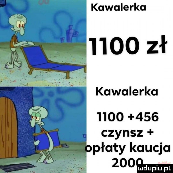 uu kawalerka      zł kawalerka          czynsz płaty kaucja zdobienie
