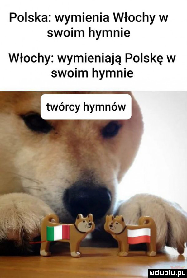polska wymienia włochy w swoim hymnie włochy wymieniają polskę w swoim hymnie twórcy hymnów