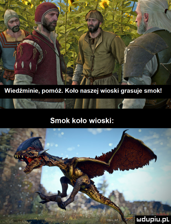 wiedźminie pomóż. koło naszej wioski grasuje smok. f smok koło wioski