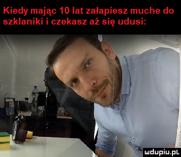 kiedy mając    ikt załapiesz muche do szklaniki i czekasz aż się udusi