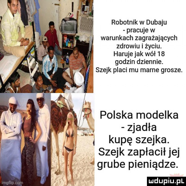 robotnik w dubaju pracuje w warunkach zagrażających zdrowiu i życiu. harujejak wół  b godzin dzienniev i szejk placi mu marne grosze. zjadła j kupę szejka. szejk zapłacił jej grube pieniądze. ludu iu. l