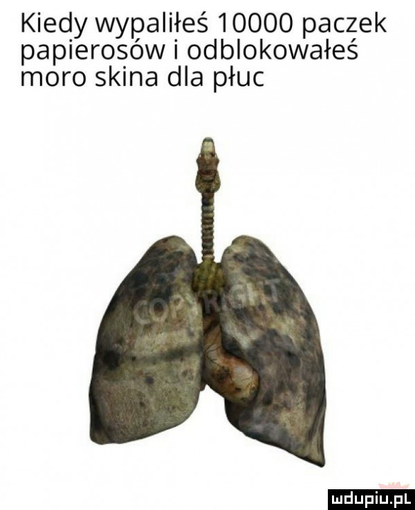 kiedy wypalifres       paczek papierosów i odblokowałeś moro skina dba płuc ludu iu. l