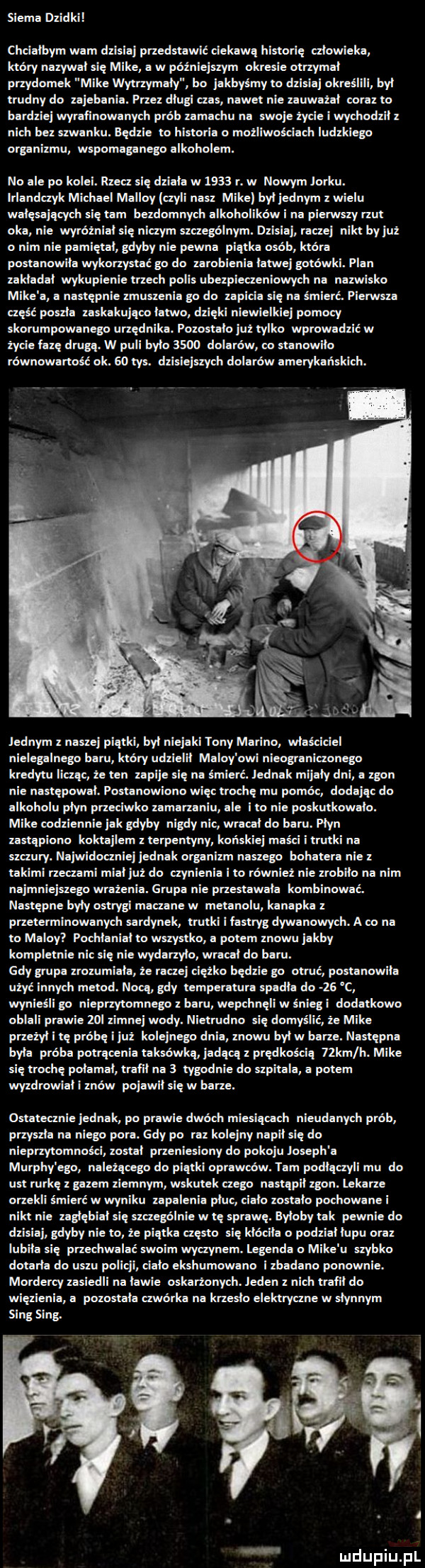 siema dzidki chciałbym wam dzisiaj przedstawic ciekawa historię czlowieka ktory nazywal się mike a w późniejszym okresie otrzymal przydomek mike wytrzymaly bo jakbysmy to dzisiaj nkveśllll byl trudny do zajebenle. przez dlugi efes nawet nie zauwazei eorez to bardziej wyr licowanych prob zamachu na swoje zycie wychodzii z nich bez szwanku. będzie to historia o mozliwosciach ludzkiego organizmu wspomaganego alkoholem. no ale po kolei. rzecz się dziala w      r. w nowym jorku. lrlandczyk michael malloy akii nasz mike byl jednym z wielu walęsajacych się tam bezdomnych alkoholików i na pierwszy rzut oka nie wyróżnialsię niczym szczególnym. dzisiaj raczej nikt by już o nim nie pamiętał gdyby nie pewna piątka osób która postanowiła wykorzystać go do zarobienia latwe gotówki. plan zekledel wykupienie trzech polis ubezpieczeniowych na nazwisko mike a a następnie zmuszenia go do zaplcla się na śmierć. pierwsza część poszla zaskakujęoo latwo dzięki niewielkiej pomocy skorumpowanego urzędnika. pozoataio juz tylko wprowadzić w życie fazę drugą. w puli było      dolarów co stanowiło równowartość ok.    tys. dzisiejszych dolarów amerykańskich. jednym z naszej piątki byl niejaki tony marino wlasciciel nielegalnego baru ktory udzialu malcy aol nleogrenlczanego kredytu llczęe ze ten upija się no imierć. jednak mljely dni. zgon nie następował. postanowiono więc trochę mu pomóc dodając do ilkuholu płyn przecieka zamarzaniu ale i ta nie poskutkowało. mike codziennie jak gdyby nigdy nic wracal do baru. płyn zastąpiono koktajlem z terpentyny końskiej maści itrutki na szczury. najwidoczniej jednak organizm naszego bohatera nie z takimi rzeczami mial już do czynienia i to również nie zrobilo na nim najmniejszego wrazenia. grupa nie przestawala kombinować. następne byly ostrygi maczane w metanolu kanapka z przeterminowanych sardynek trutkl i fastryg dywanowych. a co na to malcy pochianiai to wszystko a potem znowu jakby kompletnie nie się nie wydarzylo wma do baru. gdy grupa zrozumiela ze raczej ciężko będzie go otruć postanowil użyć innych metod. nncq gdy temperatura spadła do    c wynieśli go nieprzytomnego baru wepchnęli w śniegi dodatkowo oblaci prawie zol zimnej wody. nietrudno się domyślić że mike przezyl i tę próbę i juz kolejnego dnia znowu byl w barze. następna byla próba potrącenia taksówkę jadącą z prędkoscię  ka h. mike się trochę połamał trafił na   tygodnie do szpitala a potem wyzdrowiai i znów pojawil się w barze. ostatecznie jednak po prawie dwóch mlesiqcach nieudanych prób przyszla na niego pora. gdy po raz kolejny napal się do nieprzytomnoscl zostal przeniesiony do pokoju joseph e murphy ego nelezęcego do plętkl ocr wcow. tarn podlęczyll mu do ust rurkę z gazem ziemnym wskutek czego nastqpii zgon. lek rze unekli śmierć w wyniku zapalenia płuc cialo zastało pochowane i nikt e zagiębiai ę szczególnie w tę sprawę. byloby tak pewnie do dzisiaj gdyby nie to ze piętka często się kłóciło o podziallupu oraz lubila się przechwaiac swoim wyaynem. legenda o mike u szybko dotapia do uszu policj ciało ekshumowano i zbadano ponownie. mordercy zasiedli na lewie oskarżonych. jeden z nich trafil do więzienia a pozostala czwórka na krzeslo elektryczne w słynnym song song. m i l u