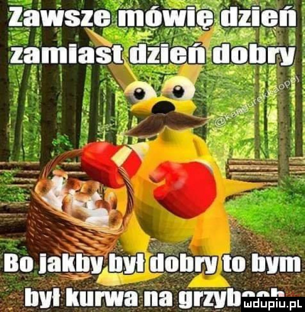 u zawsze mów. alken zamlasuizien dobru bo lakpmllm llollrv io ilem ilvl ku rwana gzub mam
