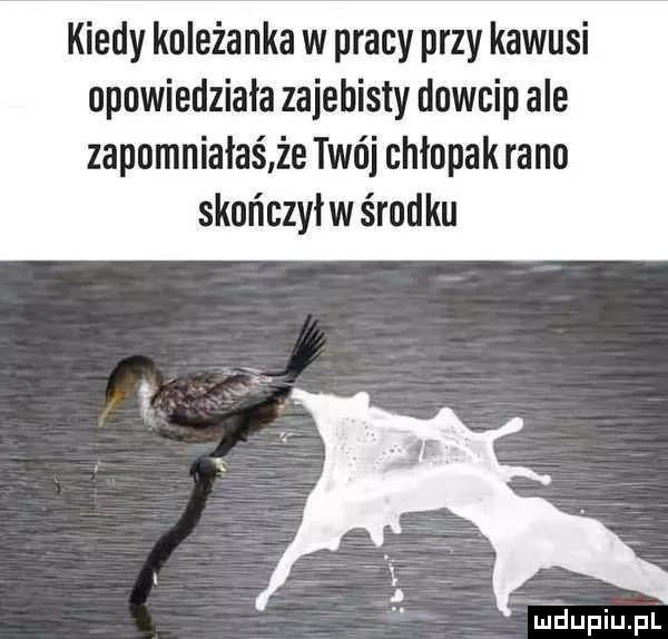 kiedy koleżanka w pracy przy kawusi opowiedziała zajebisty dowcip ale zapomniałaś że twój chłopak rano skończył w środku eupiupl