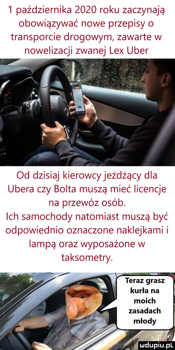 października      roku zaczynają obowiązywać nowe przepisy o transporcie drogowym zawarte w noweiizaćji zwanej lex umer od dzisiaj kierowcyjezdząćy dba umera czy borta muszą mieć iićencje na przewóz osob. ich samochody natomiast musza być odpoviiiednio oznaczone nakielkami i lamas oraz wyposazone w taksometry zasadach młody mdupiup l