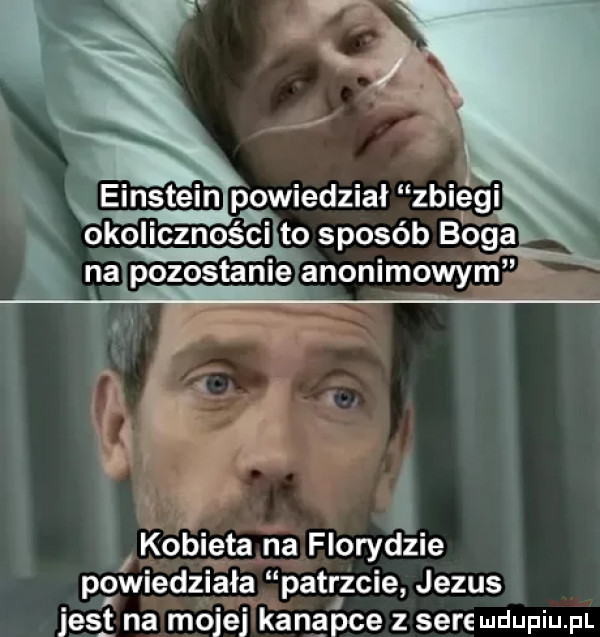 kobieta na florydzie powiedziała patrzcie jezus jest na mojej kanapce z sire ludupiu. pl