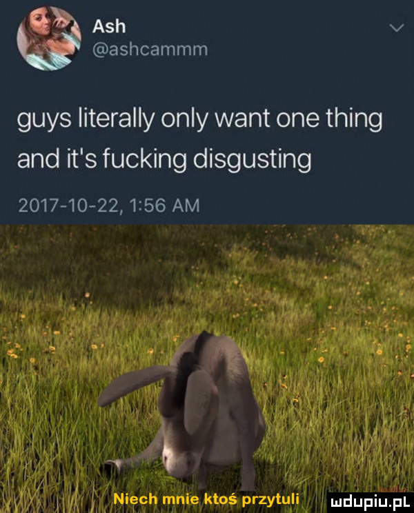 grys literalny orly want one thing and it s fucking disgusting                 am