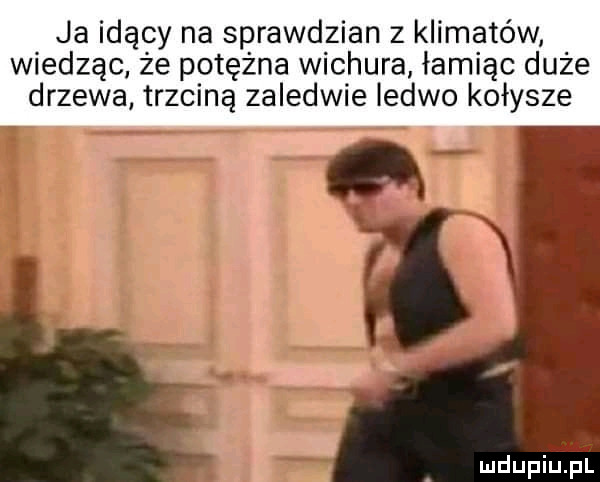 ja idący na sprawdzian z klimatów wiedząc że potężna wichura łamiąc duże drzewa trzciną zaledwie ledwo kołysze