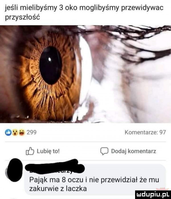 jeśli mielibyśmy   oko moglibyśmy przewidywac przyszłość. abakankami   o iw     komenlarzo    c lubię to dodaj komentarz pająk ma   oczu i nie przewidział ze mu zakurwie z iaczka