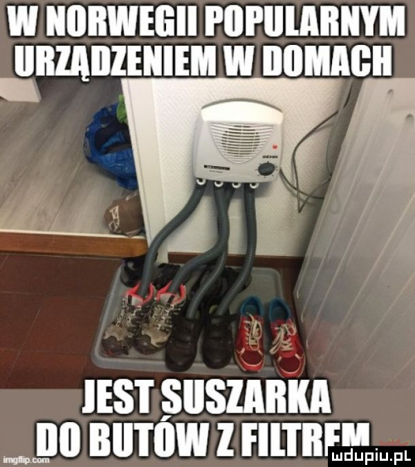 w iiiiiiwegii plii lllailiiym iiiiląiizeiiiem w ilﬂﬂllﬂll nar suszem gu numw z ham m