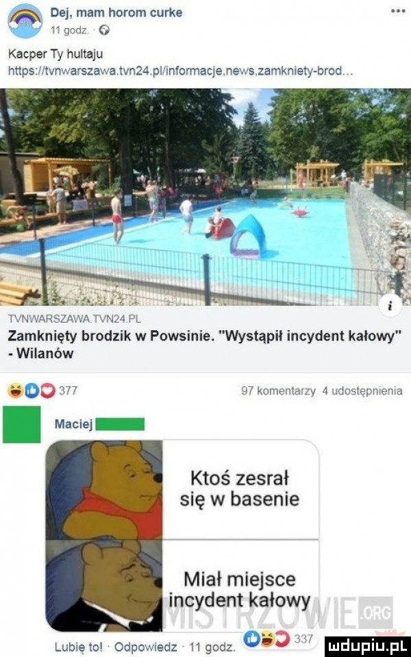 dej mam herom nurka gcdz   kacper ty hultaju https utvnvxarszawa vn   pl mformaqe news zamkniety brad tvnnarsla a ww. pl zamknięty brodzik w powsinie. wystąpił incydent katowy wilanów do        komemmzy   nduatepme ua maciej ktoś zesrał się w basenie miał miejsce incydent kałowy lumem odpowiedz ugouz o w