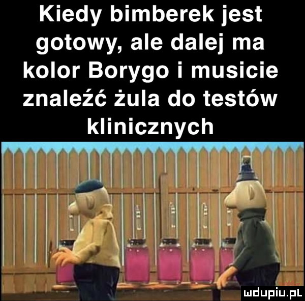 kiedy bamberek jest gotowy ale dalej ma kolor boryno i musicie znaleźć żuka do testów klinicznych j jaj jj jjjj a. ag ludupiu. pl