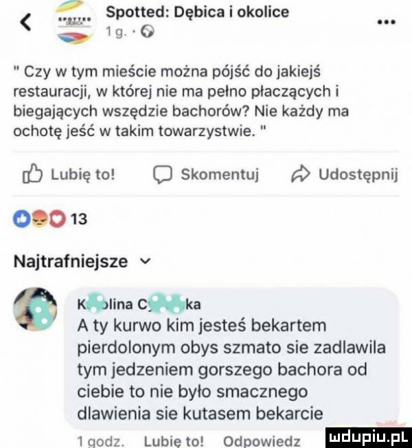 x l. i spotted dębicaiokolice   o czy w tym mieście można pójść do jakiejś restauracji w które nie ma pełno płaczących i biegających wszędzie bachorów nie każdy ma ochotę jeść w takim towarzystwie. b lubię to o skomentuj udostępnij        najtrafniejsze v kalina c ka aty kurwo kim jesteś bekartem pierdolonym obys szmato sie zadlawila tym jedzeniem gorszego bachora od ciebie to nie było smacznego dlawienia sie kutasem bekarcie iqodzv lubiewo odpowiedz ndupiu pl
