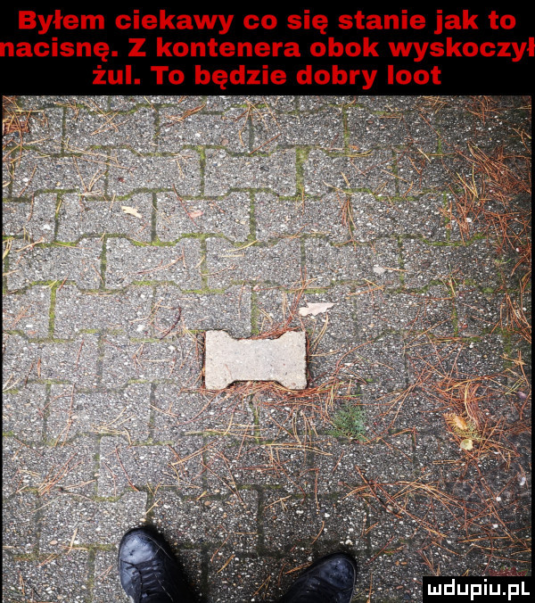 byłem ciekawy co się stanie jak to acisnę. z kontenera obok wyskoczy żul. to budzi dobry loft rk