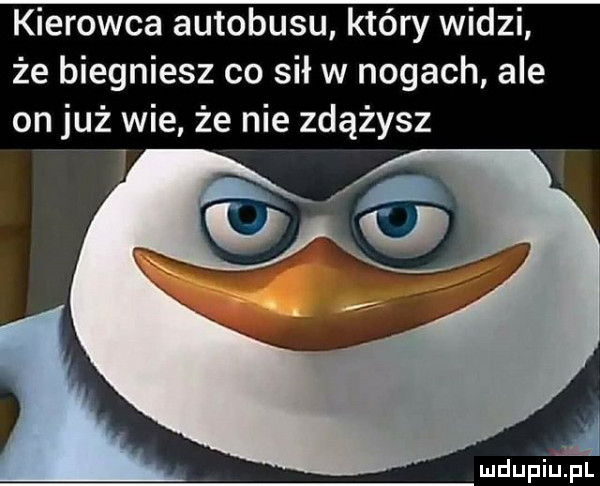 kierowca autobusu który widzi że biegniesz co sił w nogach ale on już wie że nie zdążysz a mdupiup