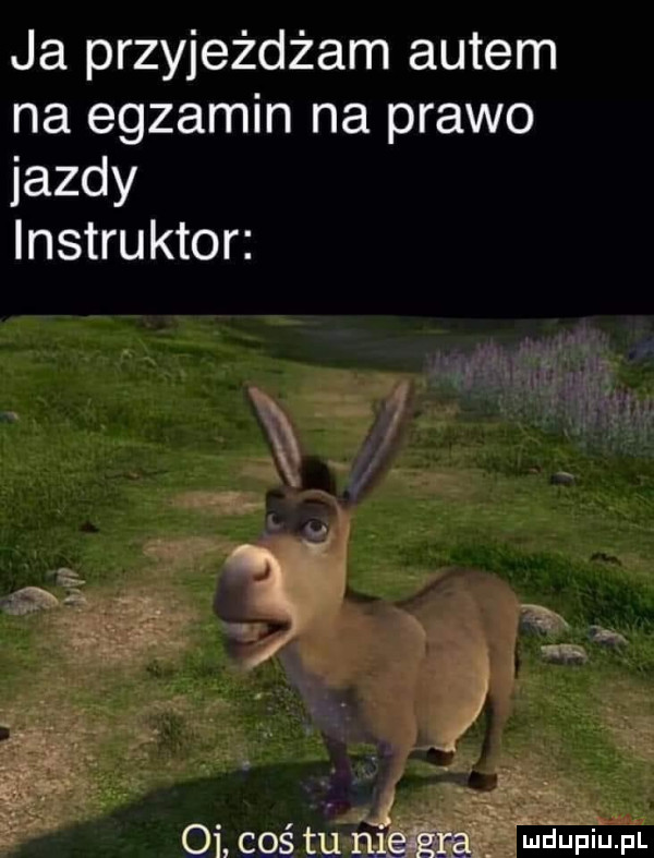 ja przyjeżdżam autem na egzamin na prawo jazdy instruktor. n    cos tu ńiśśgna wﬂupiu pl