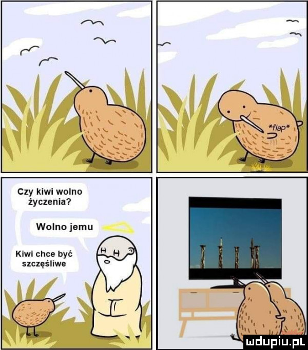 czy kiwi wolno życzenia wolno jemu kiwi chce byc szczęśliwe l r w