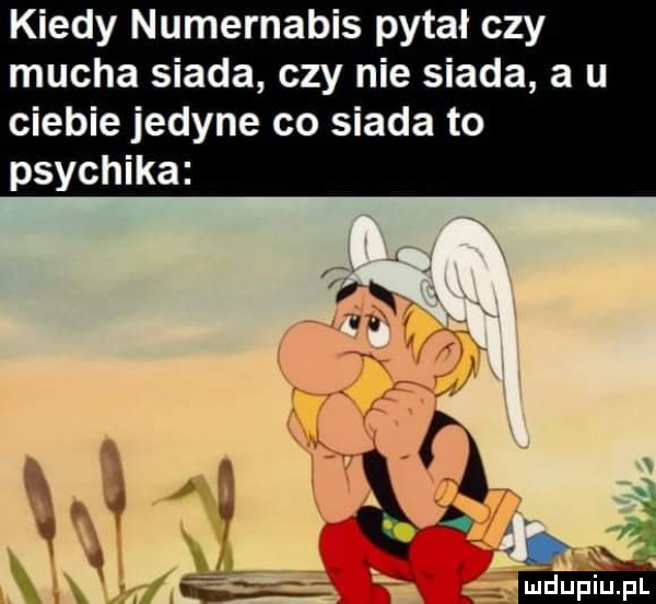 kiedy numernabis pytał czy mucha siada czy nie siada a u ciebie jedyne co siada to psychika