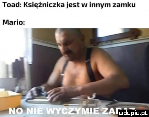 todd księżniczka jest w innym zamku mario