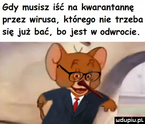 gdy musisz iść na kwarantannę przez wirusa którego nie trzeba się już bać bo jest w odwrocie. f