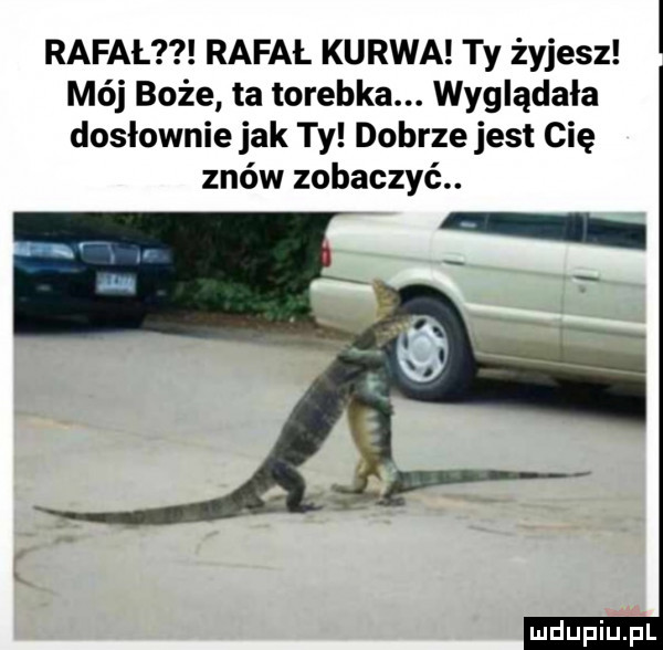 rafał rafał kurwa ty żyjesz mój boże ta torebka. wyglądała dosłownie jak ty dobrze jest cię znów zobaczyć