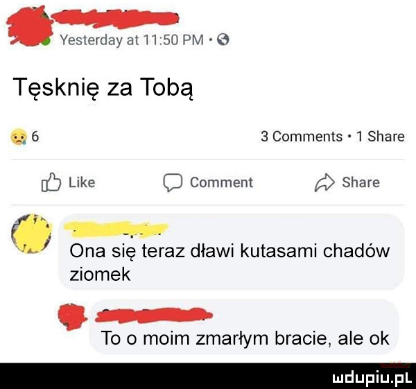 yesterday al h    pm tęsknię za tobą q     comments   stare like c comment a stare ona się teraz dławi kutasami chadów ziomek o to o moim zmarłym bracie ale ok