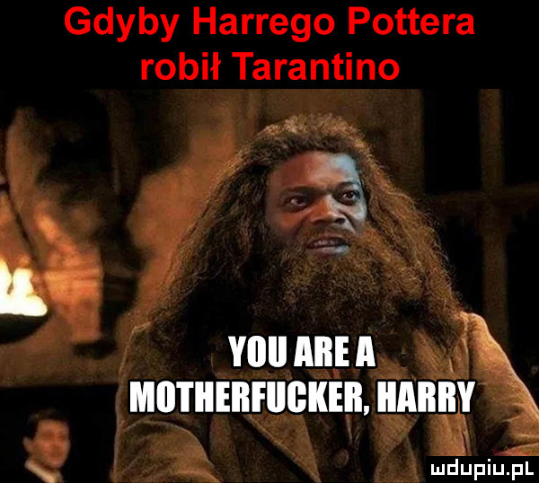 gdyby hardego pottera robił tarantino yiiii all a   ilii i iieiifiigikeii iiaiiiy   ił xą pw xu   iu iu l