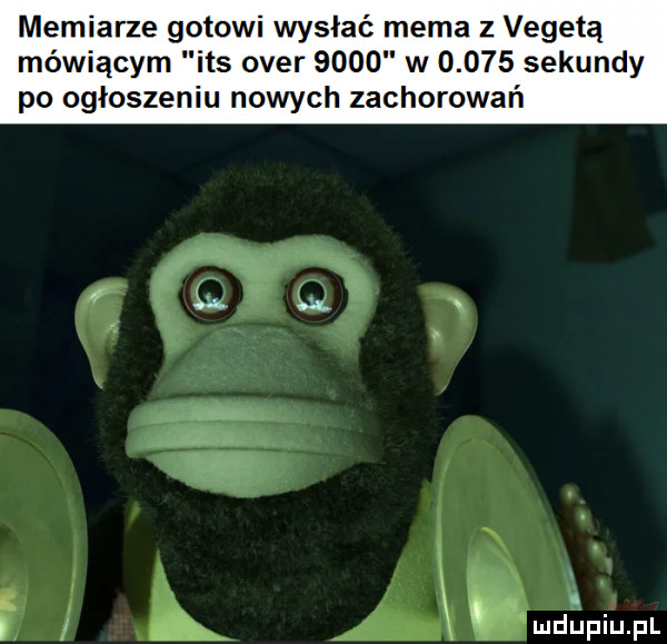 memiarze gotowi wysłać mema z vegetą mówiącym ihs ober      w       sekundy po ogłoszeniu nowych zachorowań l j