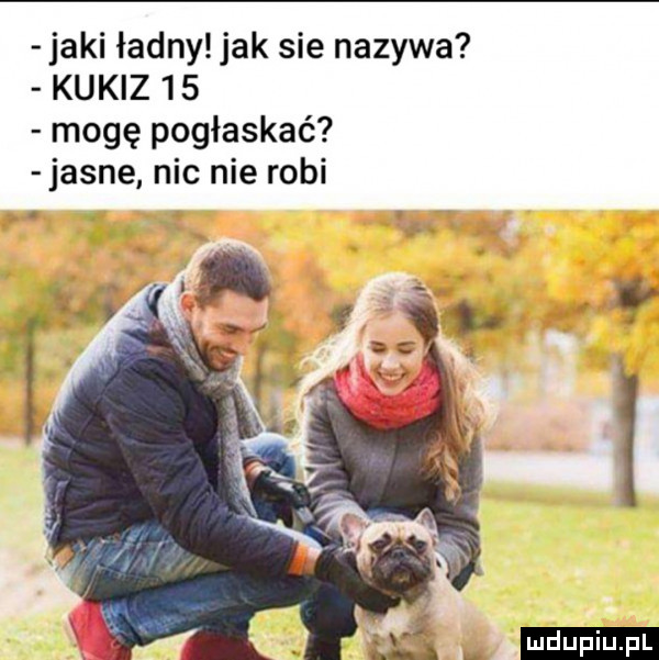 jaki ładny jak sie nazywa kukiz    mogę pogłaskać jasne nic nie robi ludu iu. l