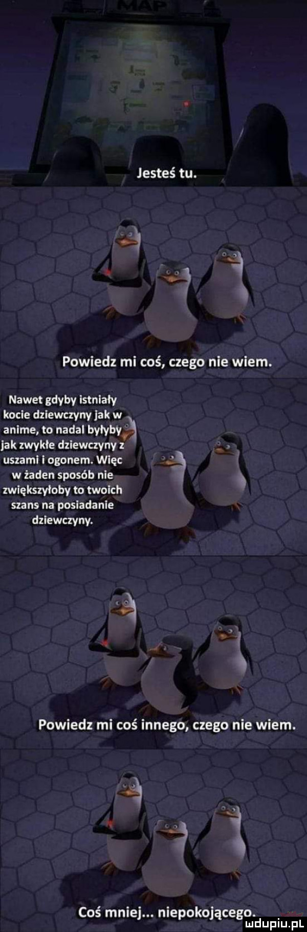 jesteś tu. powiedz mi coś czego nie wiem. nawet gdyby istniały kocie dziewczyny jak w anime to nadal byłyby. jak zwykle dziewczyny z uszami i ogonem więc i w żaden sposób nie zwiększyłoby io twoich szans na posiadanie dziewczyny. powiedz mi coś innego czego nie wiem. coś mniej. niepokojacego. mduplu pl