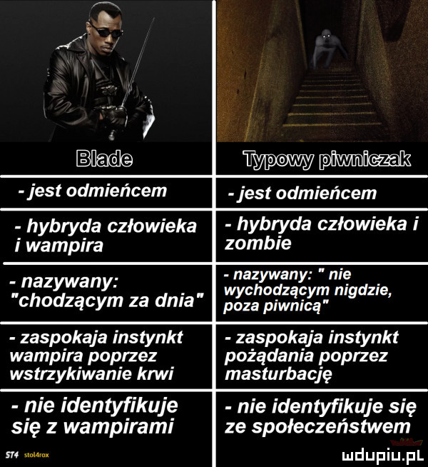 ww jest odmieńcem jest odmieńcem hybryda człowieka i zombie hybryda człowieka i wampira nazywany nie wychodzącym nigdzie poza piwnicą nazywany chodzącym za dnia zaspokaja instynkt zaspokaja instynkt wampira poprzez pożądania poprzez wstrzykiwanie krwi masturbację nie identyfikuję nie identyfikuje się się z wampirami ze społeczeństwem. abakankami