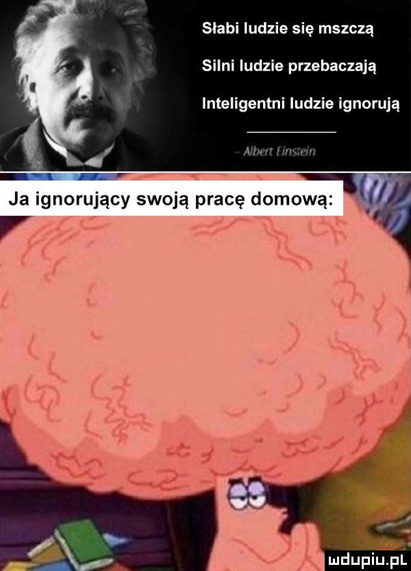 słabi ludzie się mszczą silni ludzie przebaczają inteligentni ludzie ignorują anwil imxmu i l ja ignorujący swoją pracę domową   y luft inupl