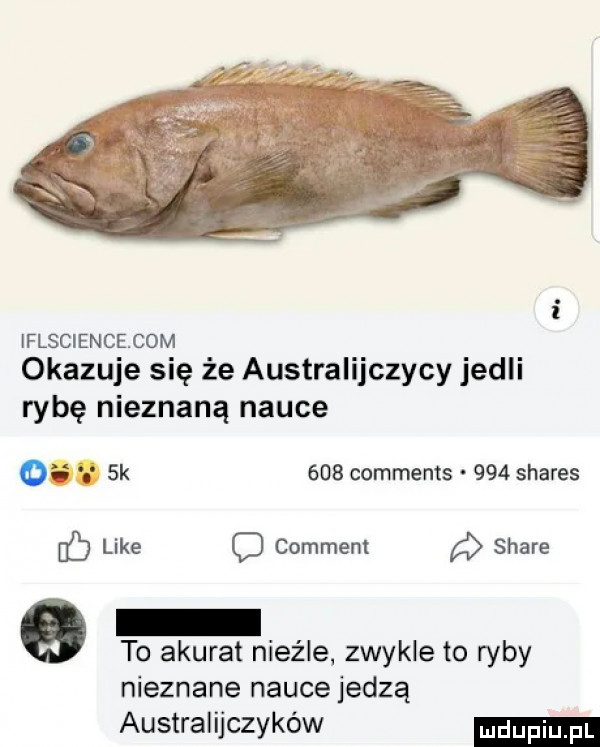 i iflscience cam okazuje się że australijczycy jedli rybę nieznaną nauce o.  k     comments     shares if like   comment stare to akurat nieźle zwykle to ryby nieznane nauce jedzą australijczyków