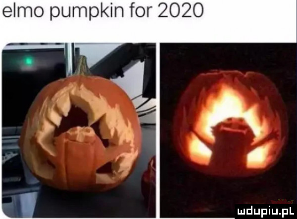 emmo pumpkin for