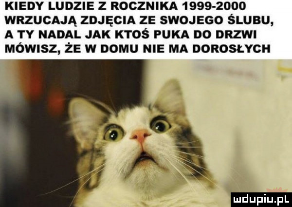 kiedy ludzie z rocznika           wrzucają zdjęcia ze swojego ślubu a ty nadal jak ktoś puka do drzwi mówisz że w domu nie ma dorosłych ludu iu. l