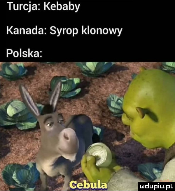 turcja kebaby kanada syrop klonowy