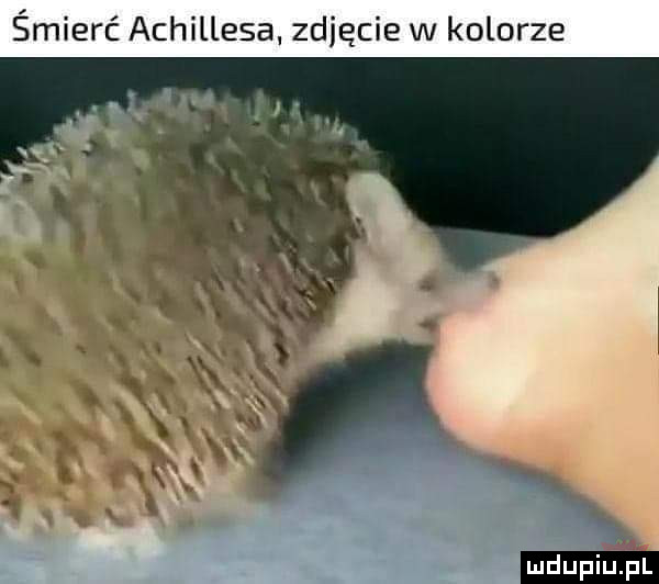 śmierć achillesa zdjęcie w kolorze