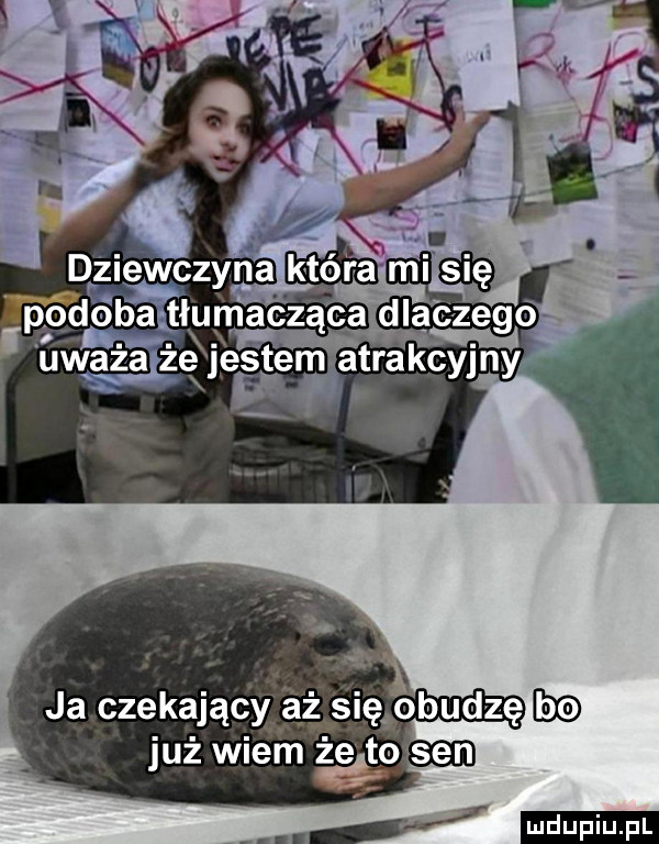 leo ddóba tłumacząca dlaczegó r uw     a j e jest em nuatrakcyjny e dzigv czyha która m    . abakankami v a. ja czekający a się obudzę już wiem żeltoasen