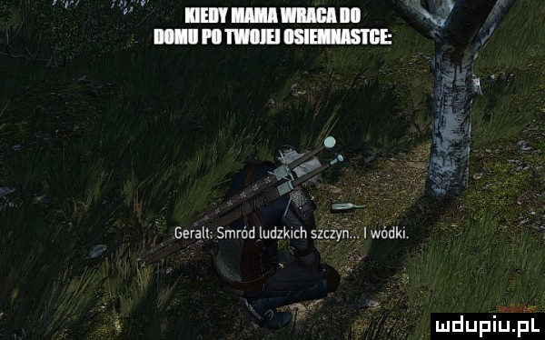 iliom mucu x. unum summa