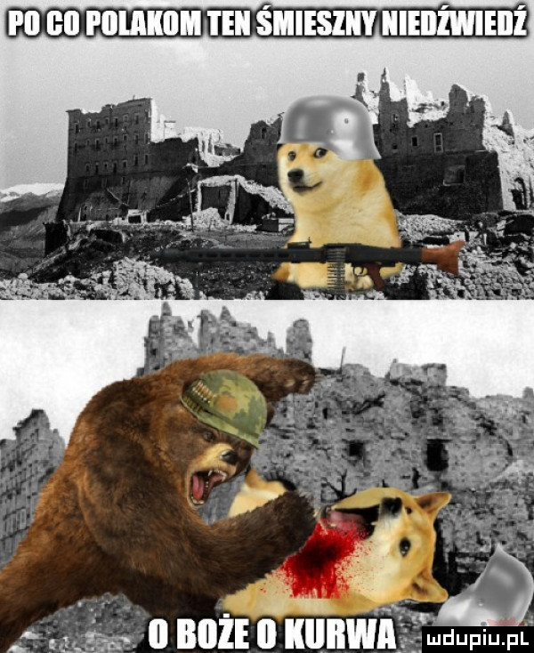 i ll ell i illaiiim ilii smiesiiiy iiieiizwieiiż