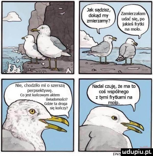 nie modzuu mi   szersza uerusekwwe a jest końmwym aktem śmadamośu gdzie a duma jak sądzisz dokąd my zamlerzalam.   udać się po zmrzamy jakieś frytki na molo. nadal czuję że ma to coś wspólnego z tymi frytkami na molo