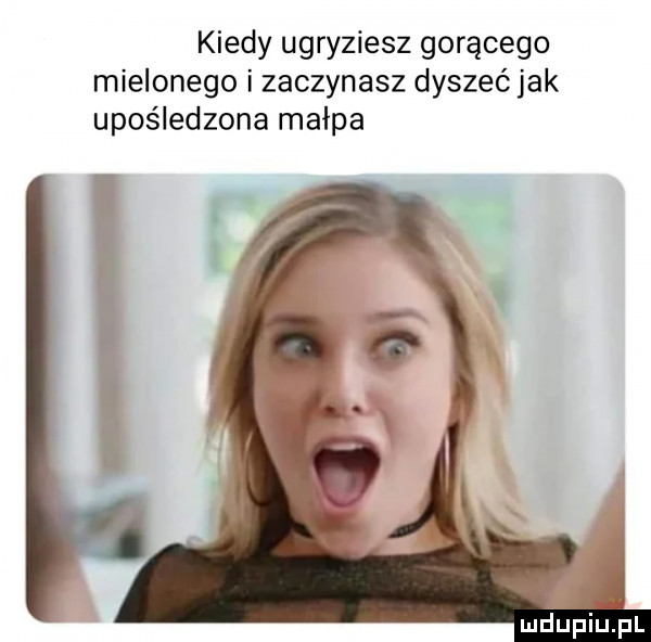 kiedy ugryziesz gorącego mielonego i zaczynasz dyszeć jak upośledzona małpa mdupihlrpl