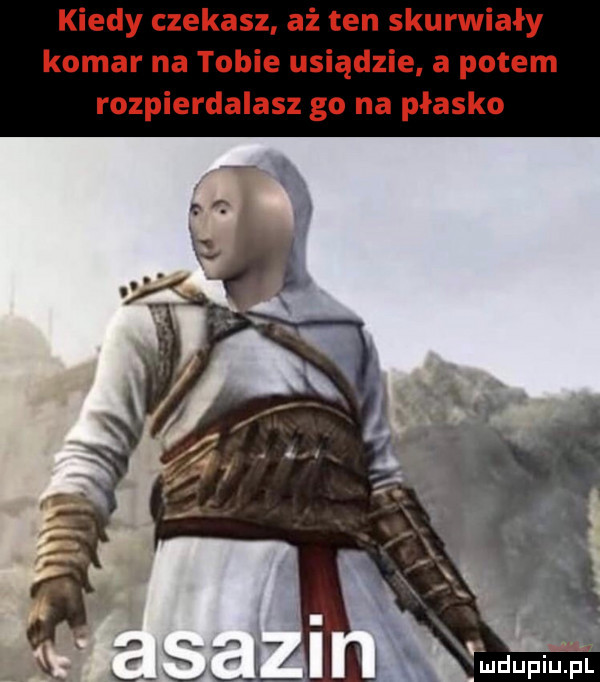 kiedy czekasz aż ten skurwiały komar na tobie usiądzie a potem rozpierdalasz go na płasko