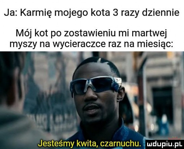 ja karmię mojego kota   razy dziennie mój kot po zostawieniu mi martwej myszy na wycieraczce raz na miesiąc  e    . w   i i v x. o t ludupiupl