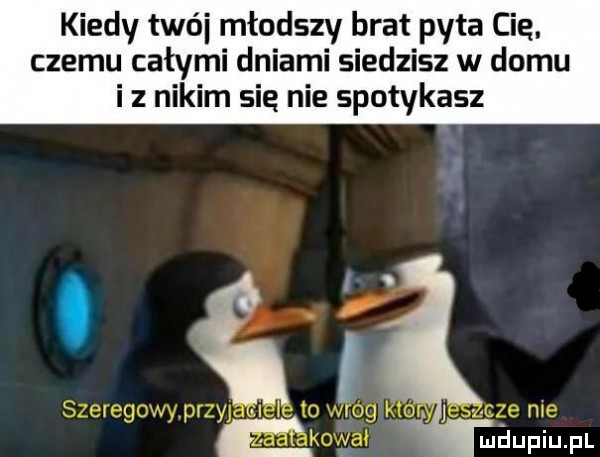 kiedy trói młodszy brat pyta cie. czemu całymi dniami siedzisz w domu i z nikim się nie spotykasz iii