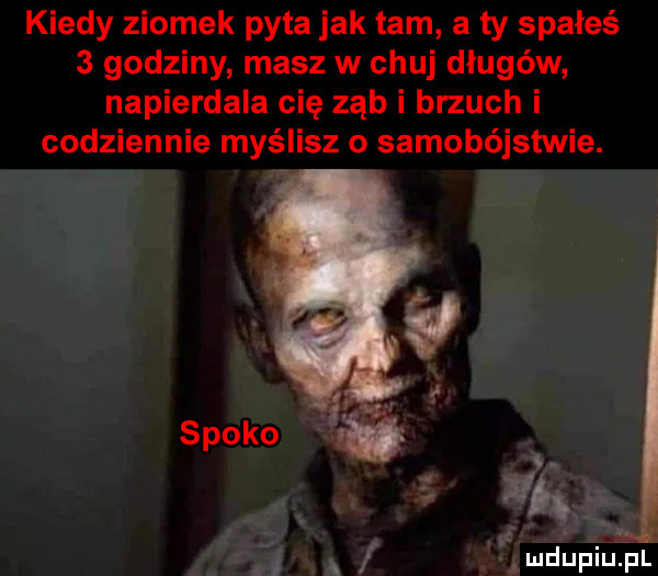 kiedy ziomek pyta jak tam a ty spałeś   godziny masz w chuj długów napierdala cię ząb i brzuch i codziennie myślisz o samobójstwie. za wł