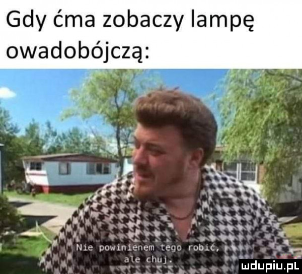 gdy ćma zobaczy lampę owadobójczą. abakankami rx. a. u. r y yw     .  uv. m-c w