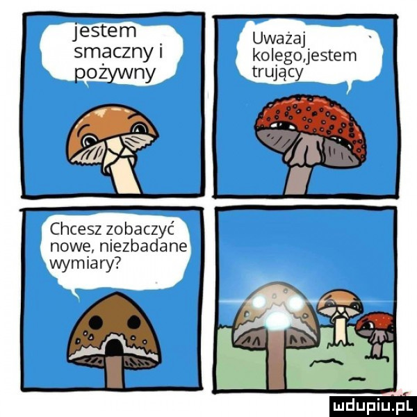 j entem uwazaj smaczny kolego jestem trują cy chcesz zobaczyć nowe niezbadane wymiary